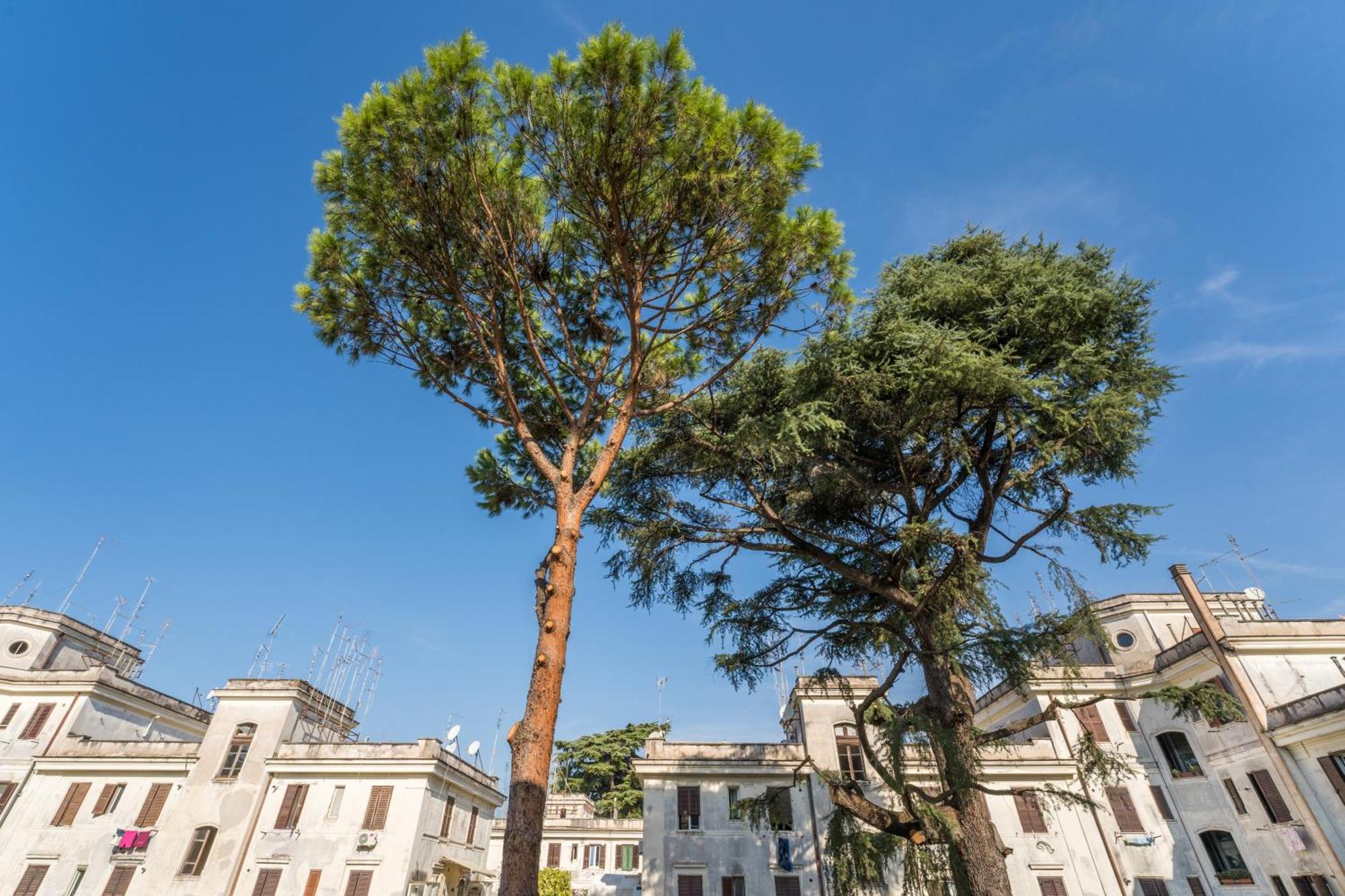 Fisher'S Apartment In Testaccio Rome Bagian luar foto